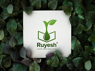 Logo design of plant fertilizers