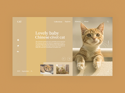 Lovely baby design web webdesign