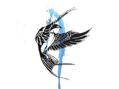 Blue swallow