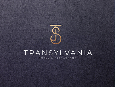 TS logo branding desain design ikon ilustrasi logo merek vektor