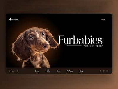 Online Pet Shop Website