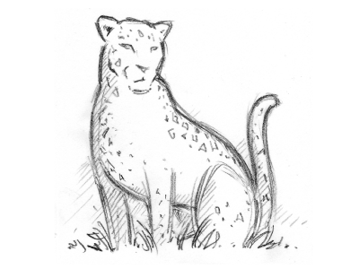 Leopard WIP animal cat concept illustration leopard logo pencil rough sketch wip zoo