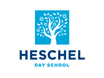 School logo concept blue branches cyan education iconic illustrative leaf learn leaves logo sans serif school star stars teach tree