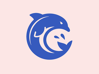 Dolphin logo illustration design dolphin education icon illustration logo mascot school sports