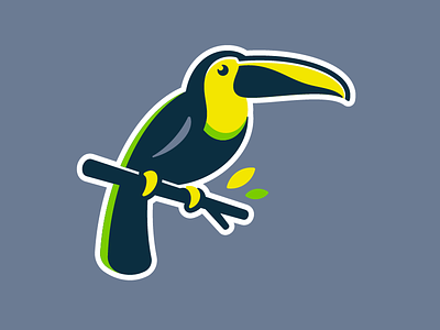 Toucan Logo animal bird branding character design icon iconic identity illustration logo toucan vector