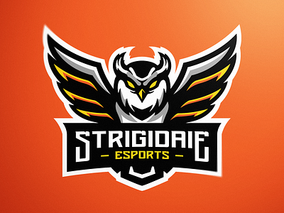 Asakura eSports Logo by Dr4g DESIGN on Dribbble