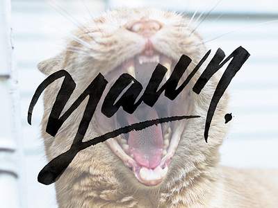 Yawn ruling pen script type typography yawn