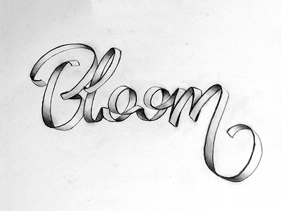 Ribbon Bloom lettering ribbon script sketch typography