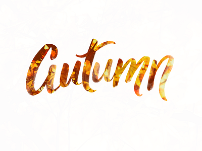 Autumn autumn brush calligraphy fall lettering script seasons typography