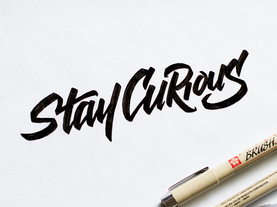Stay Curious brush curious lettering stay type
