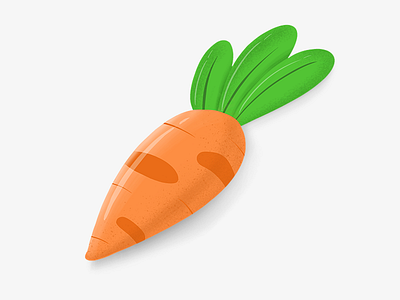Carrot carrot illustration ipad vegetable