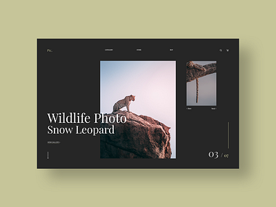 Wild Animals Website Design branding design flat lettering minimal ui ux vector web website