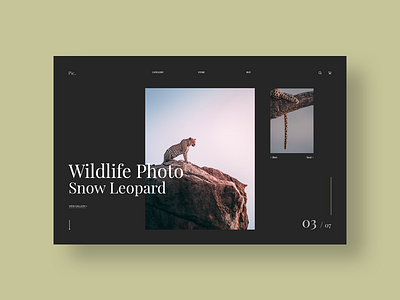 Wild Animals Website Design