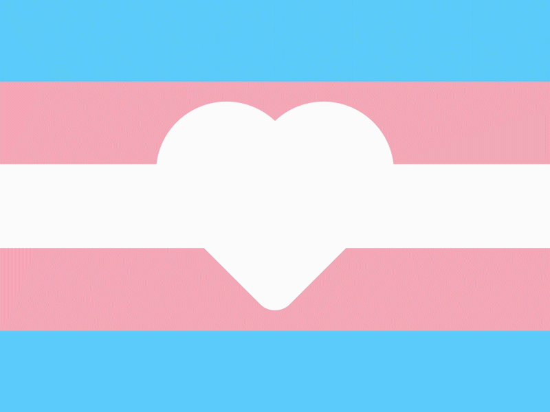 Transgender Pride Flag animation flag loop pride prideflag pridemonth