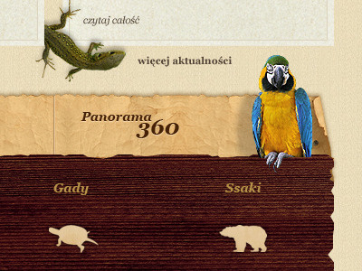 animals animal bird natural paper wood zoo