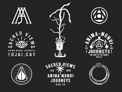 Anima Mundi Journeys anima mundi apparel branding california logos typography