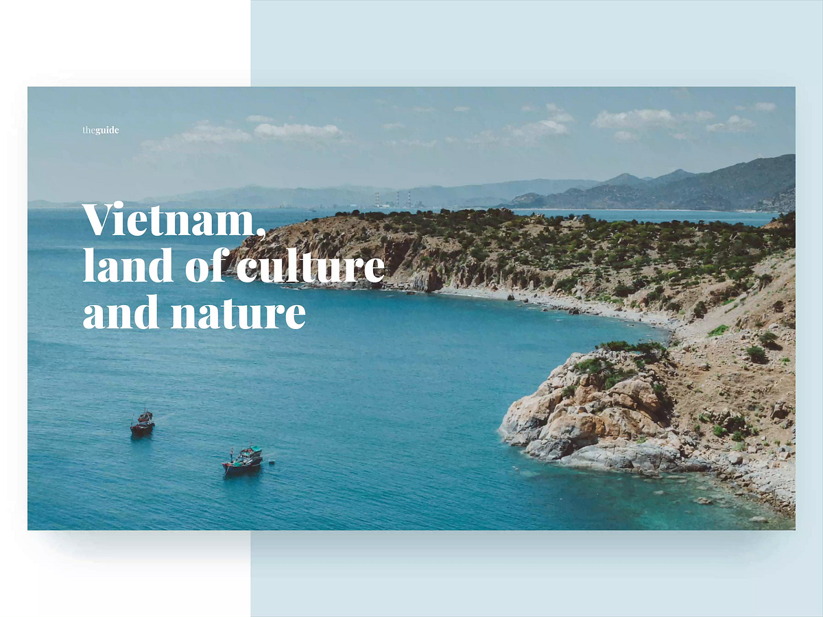 Ngoc Dang | Dribbble