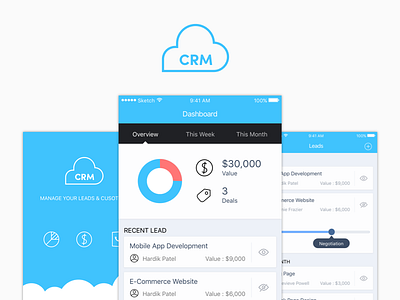 Cloud CRM App Design app crm graph iphone mobile ui ux