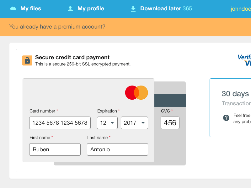Credit card details input