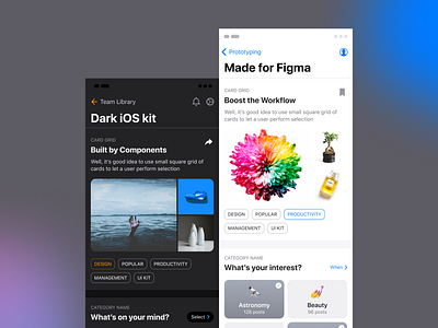 iOS Design Kit Dark & Light Layouts