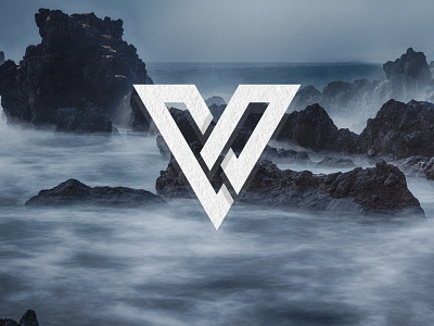 'V' Logo Concept