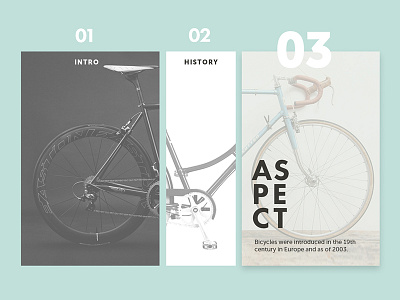 Bike History bicycle bike design typo ui ux web