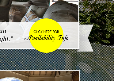 Availability button button gray interface ribbon typography website yellow