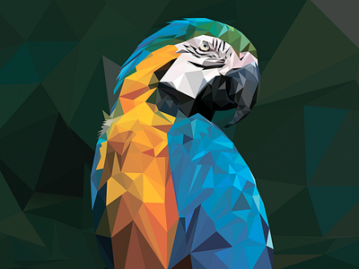 Low Poly Parrot bird design illustration lowpoly lowpolyart parrot photoshop vector web