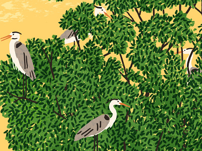 Heron Island Border design drawing editorial illustration heron illustration illustrator nature print wildlife