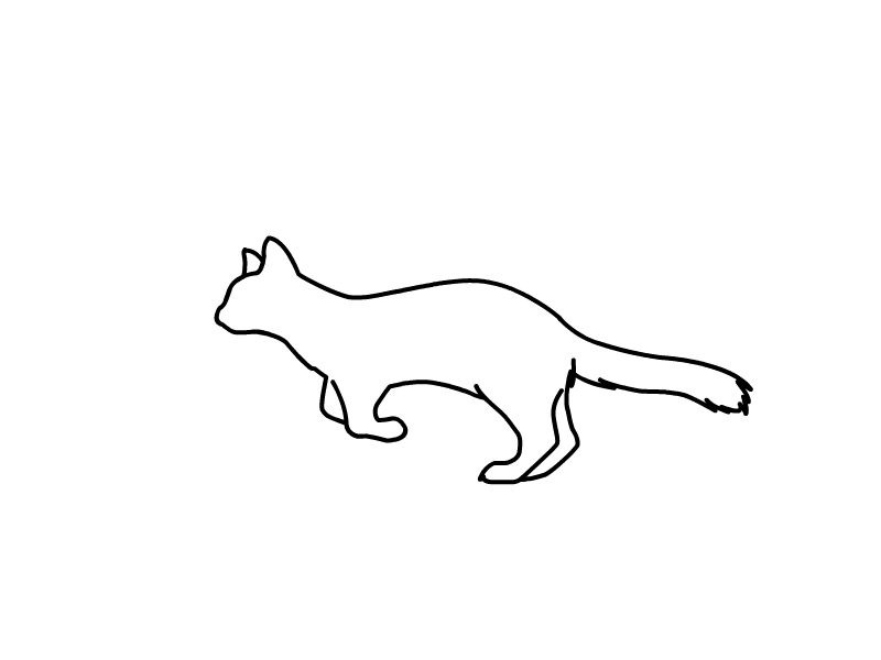 Cat2 after effect animal animation animation 2d flash flash animation flat illustration vector