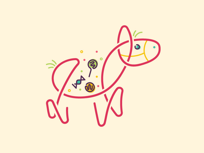 Piñata by Annelise Muret on Dribbble