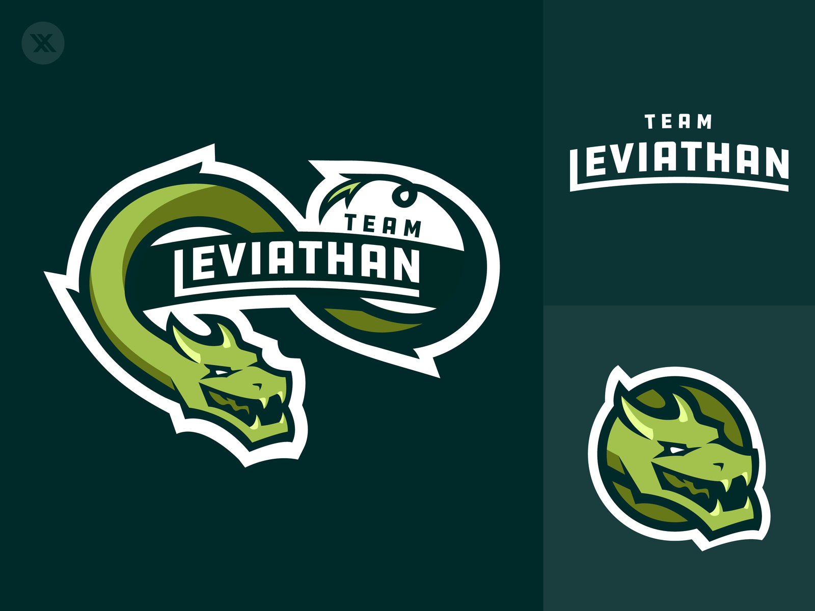 Team Leviathan By Xander Harper On Dribbble