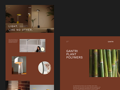 Gantri - website concept