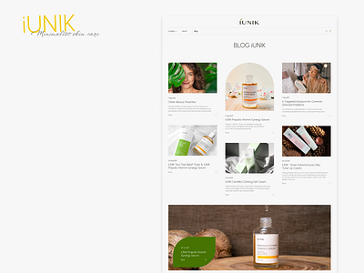 Redesign of online cosmetics store. Blog