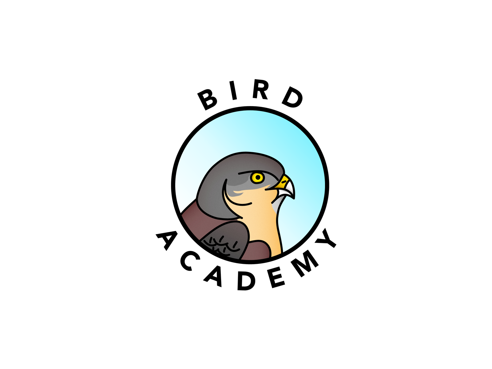 Bird Academy by Dominykas Špelveris on Dribbble