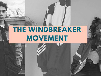 The Windbreaker Movement design presentation presentation design presentation layout presentation template web
