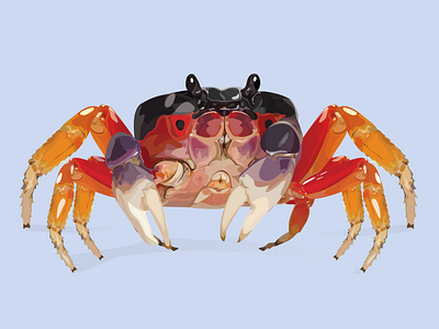 Halloween Crab animal animal illustration art crab halloween illustration illustrator vector vector illustration