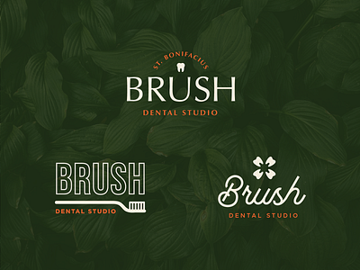 Alt. Brush Dental Studio Logos branding brush dental dentist logos teeth tooth toothbrush
