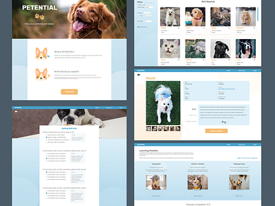 Petential adoption design pet ui ux web