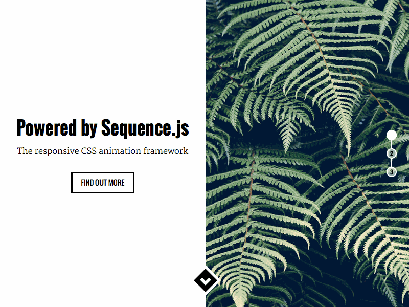 Two Up - Sequence.js Theme