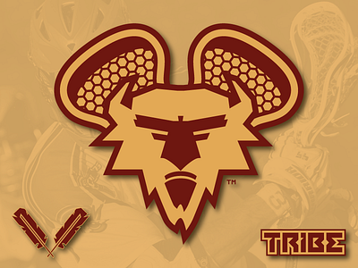 Tribe Professional Lacrosse branding icon lacrosse logo sports