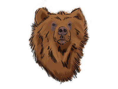 Grainy Bear digital art digital illustration illustration