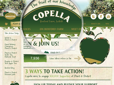 Copella Brand Site brand copella site