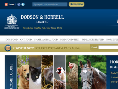Dh brand site