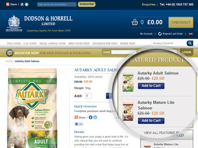 Dodson & Horrell Inner Page website brand