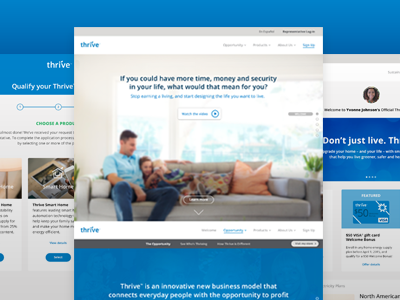 Thrive Website Development