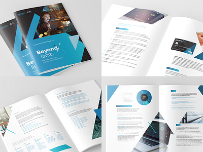 Corporate/Product Overview booklet brochure corporate overview payments tech