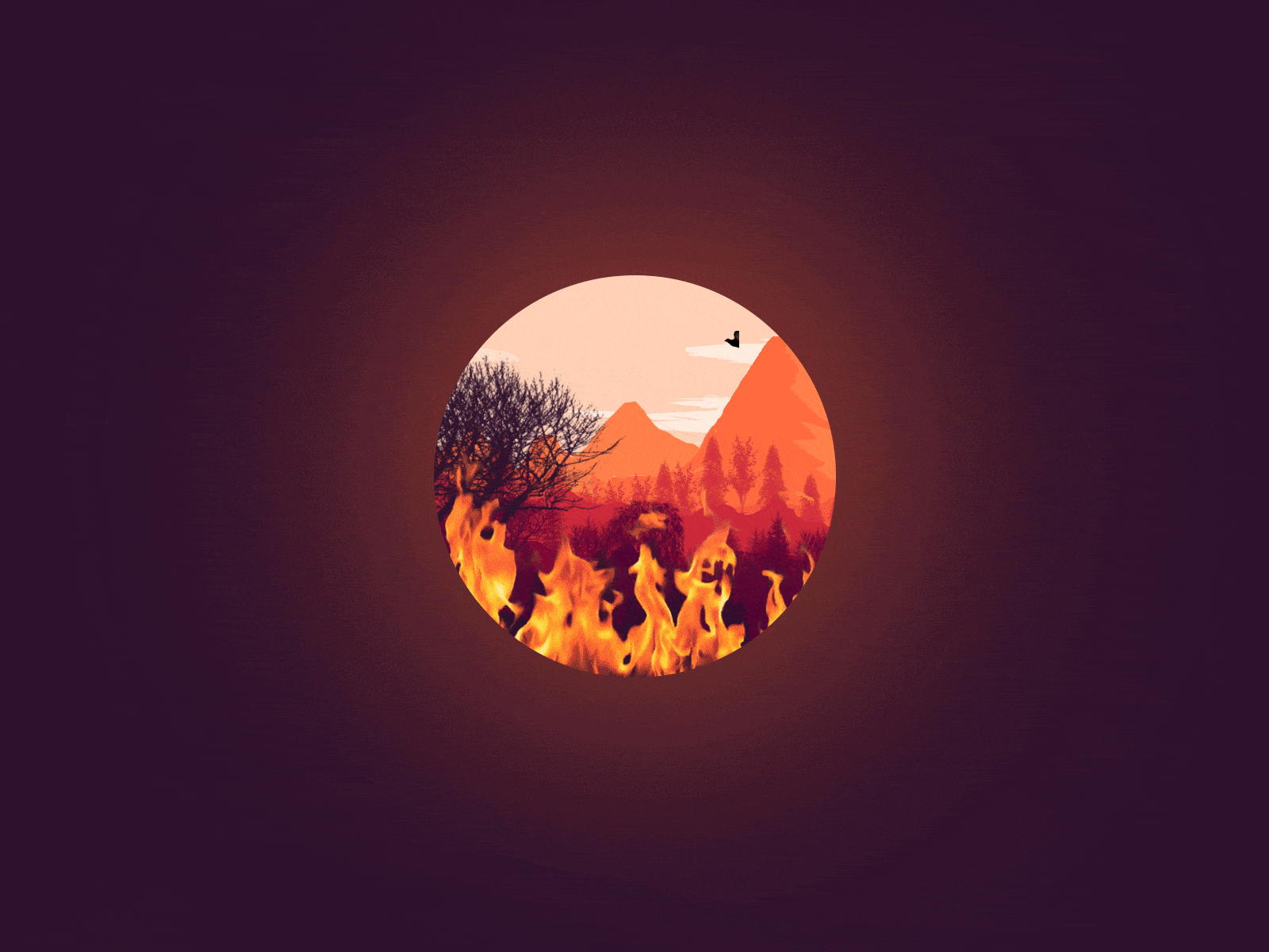 Wildlife on Fire! animation 2d birds buring fire burning trees campaign environment gif gif animation gifanimation graphic design landing page landscape mountains save earth travel turism wildlife