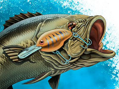 Fishing T-Shirt Design concept design fish fishing illustration nature shirt