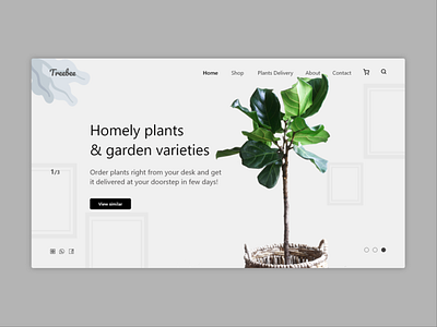 plants web landing page UI adobexd illustration photoshop plant plant illustration ux webui